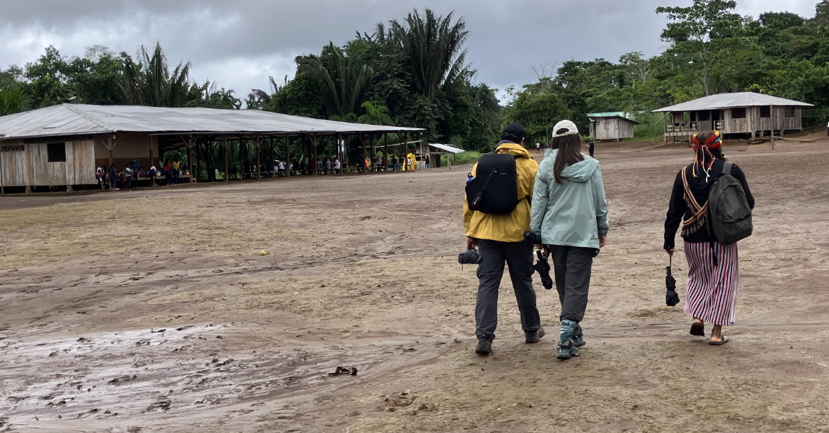 How to make this senseless world make sense