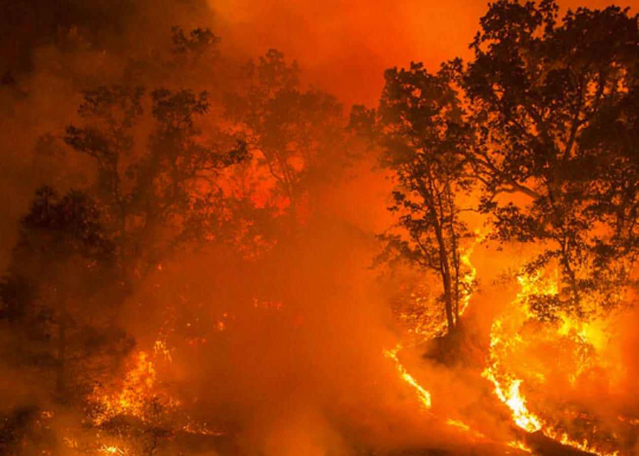 The Madness of Kings