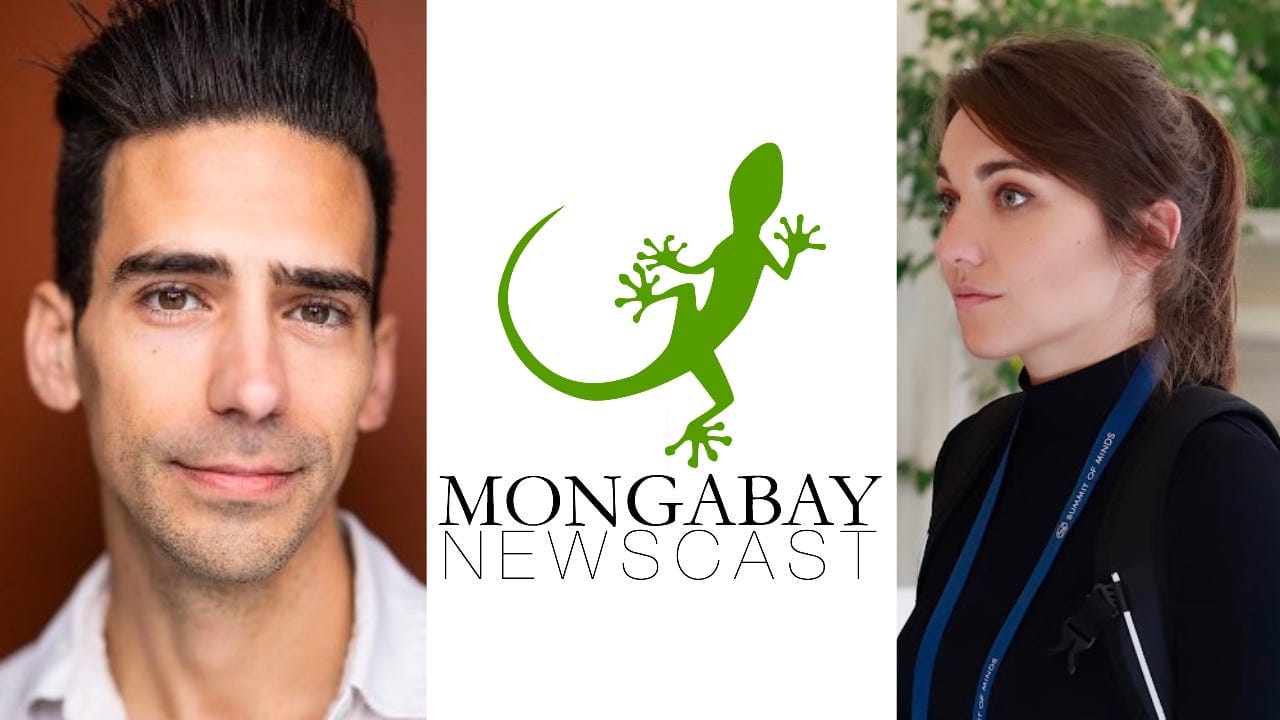 Mongabay: Climate loss & damage fund ‘the furthest thing imaginable from a success’