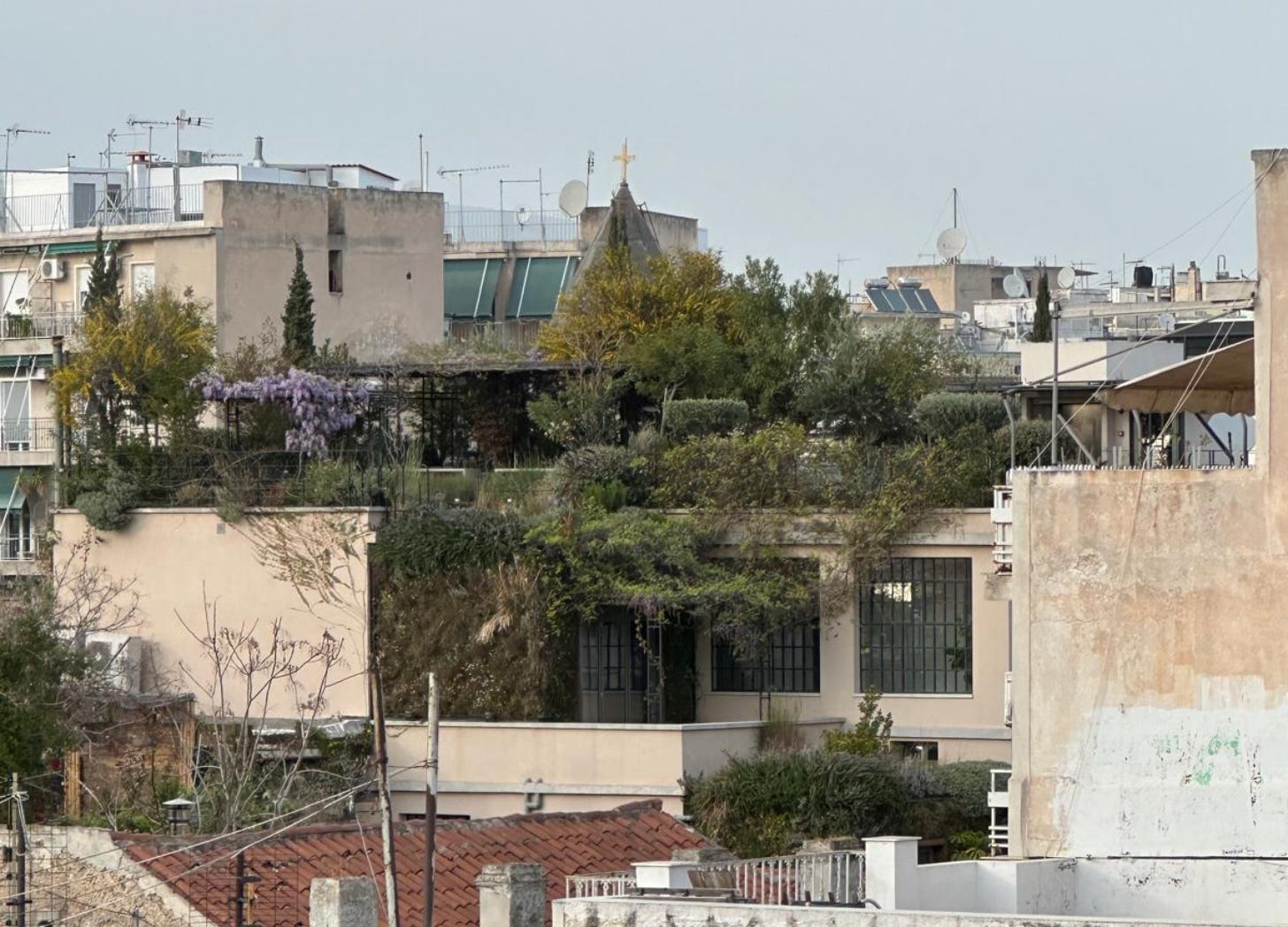 Rewilding the Commons