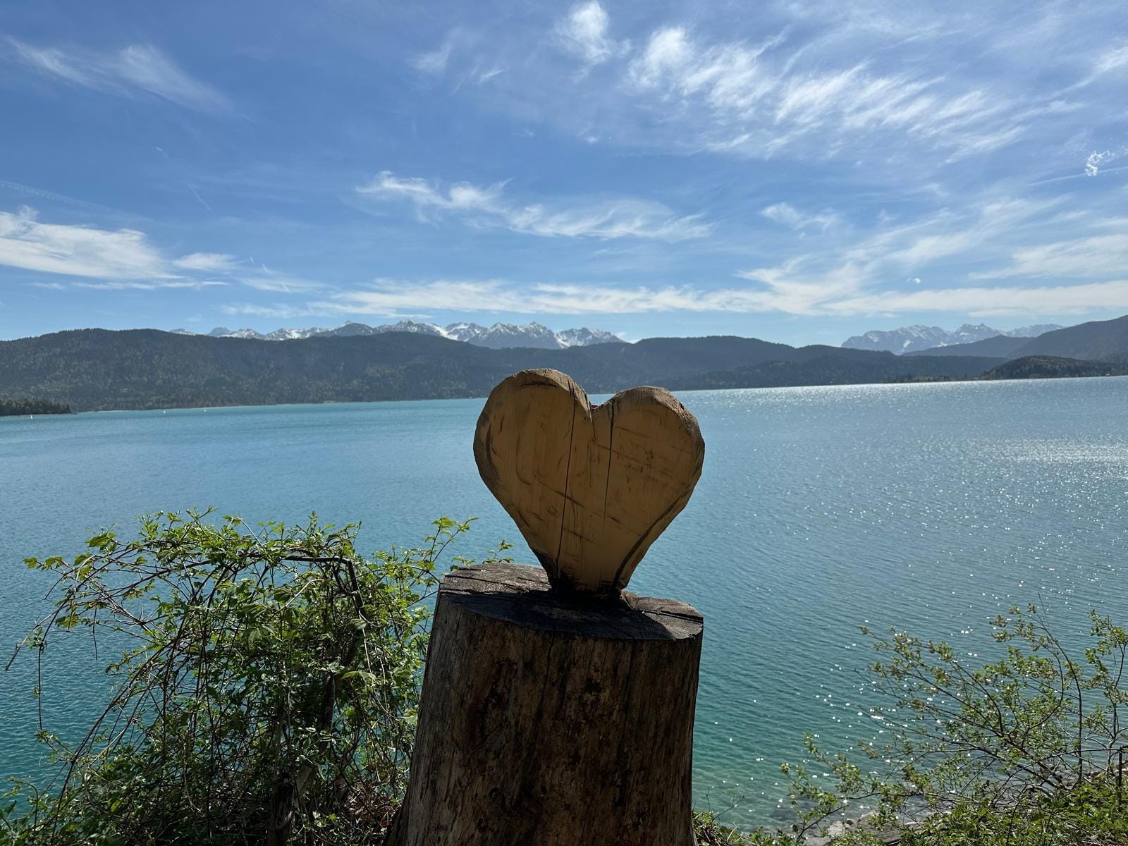 Embracing Nature’s Complexity