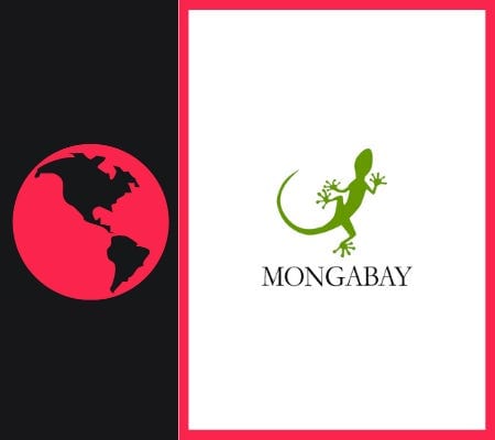 Tiger habitat threatened by Malaysian royals’ mining plans