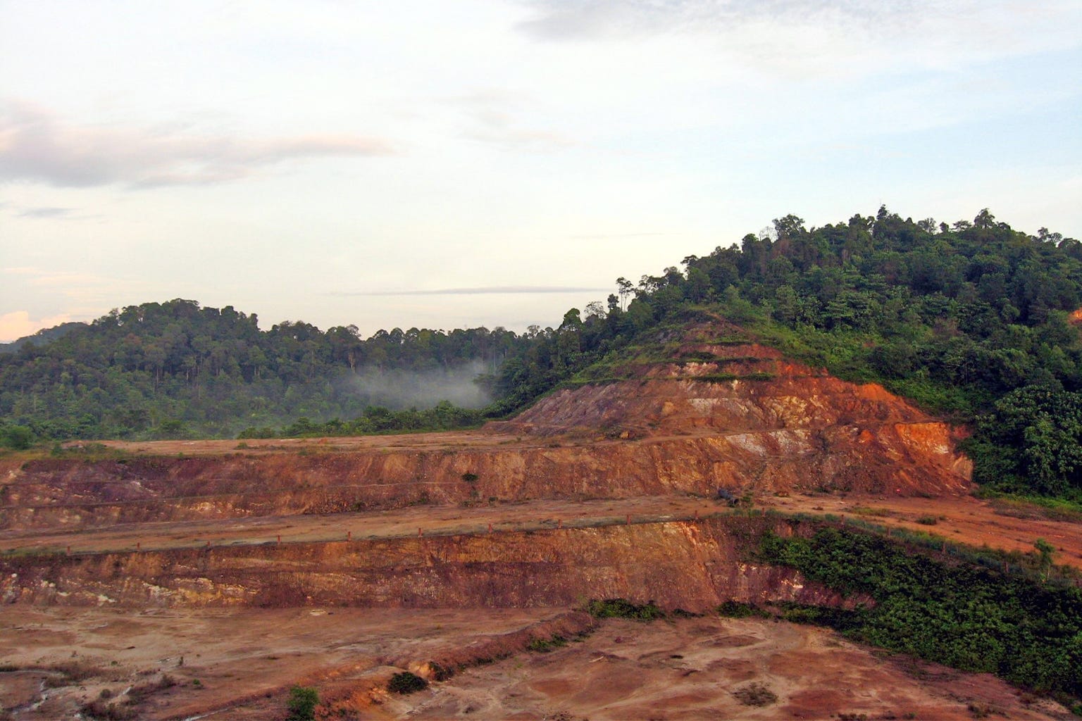 A deforested part of Ayer Hitam Forest Reserve in Selangor, Peninsular Malaysia.