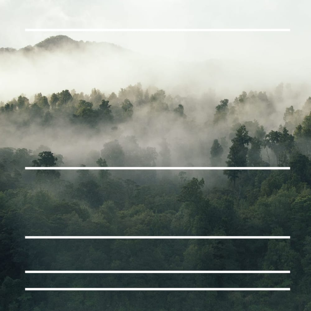 Trees may be green—but paper isn't post image