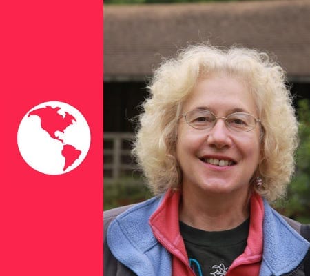 Life After Fossil Fuels | Alice Friedemann post image