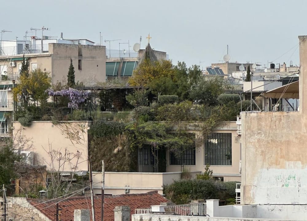 Rewilding the Commons post image