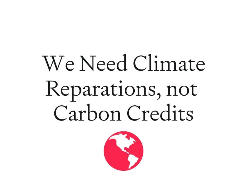 We Need Climate Reparations, Not Carbon Credits post image