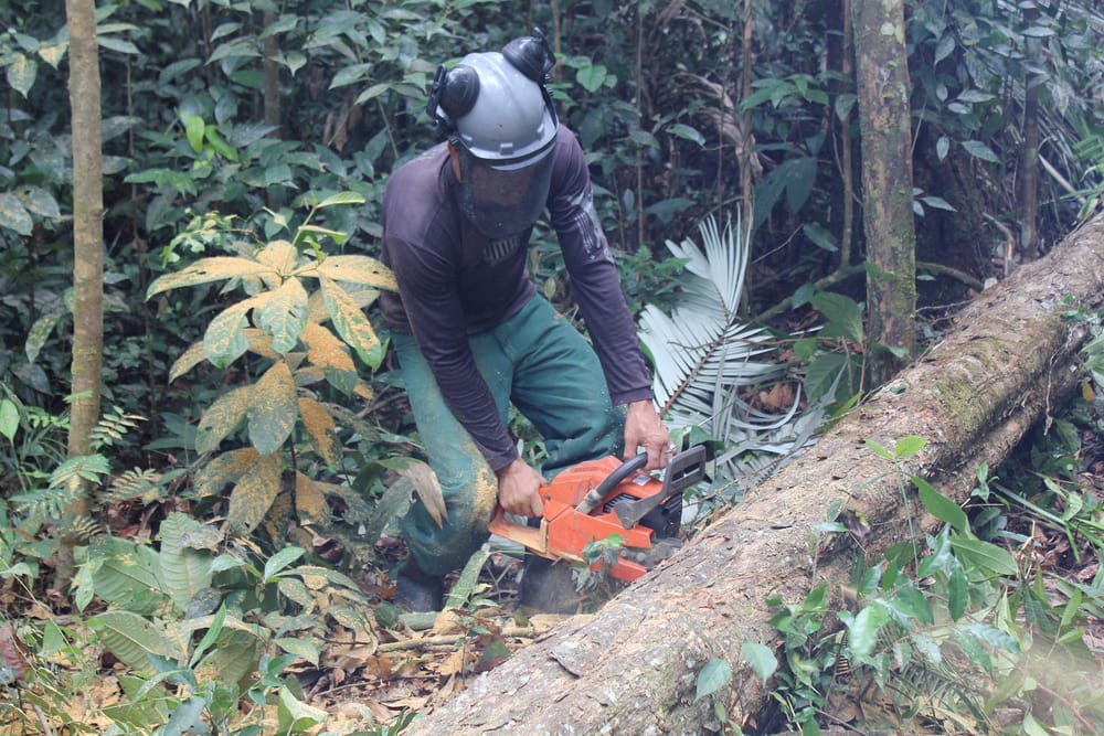 A World Without Choice post image