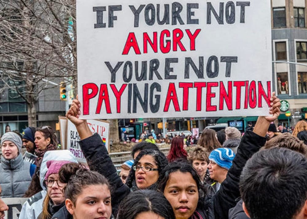 Get Educated and Misbehave post image