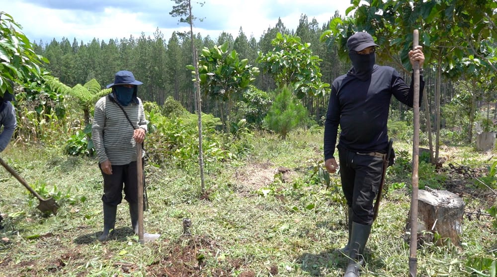 Get To Work post image