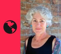 How Economics Overpowers Culture | Lisi Krall post image