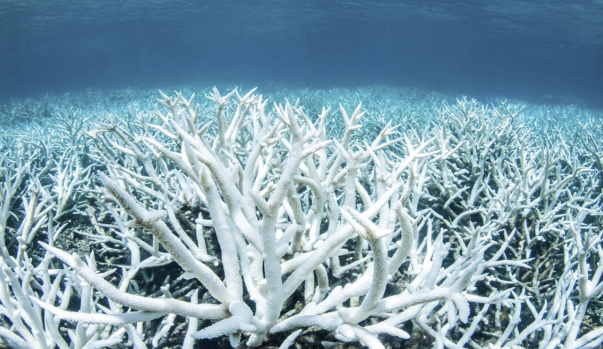 Tangled Up post image